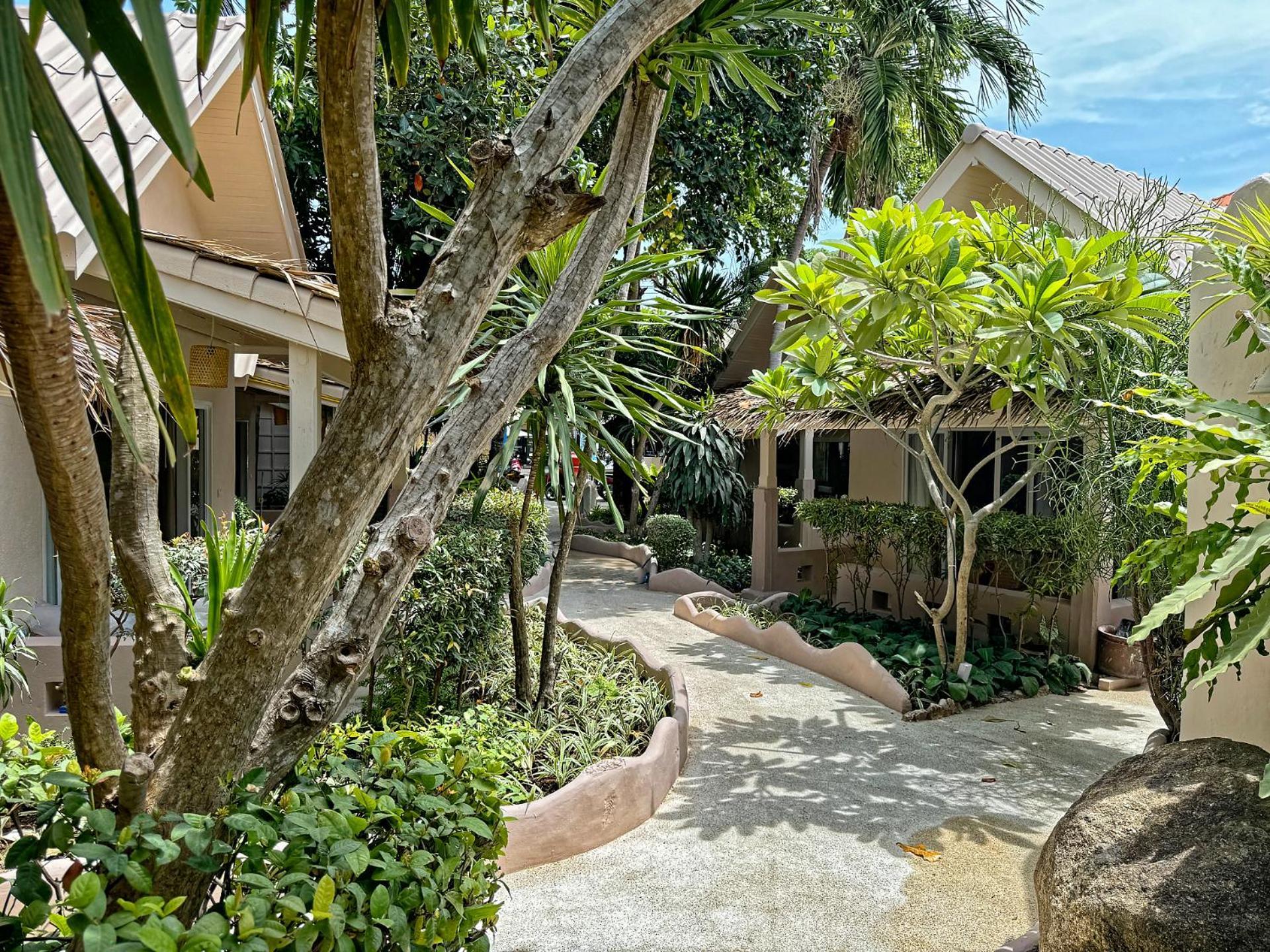 'צ'אוונג ביץ Blue Turtle Hotel Samui מראה חיצוני תמונה